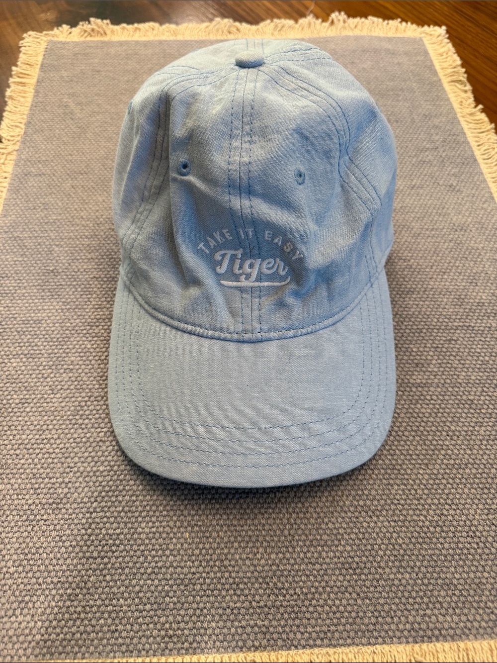 Aerie Light Blue “Take it Easy Tiger” hat. Never worn.